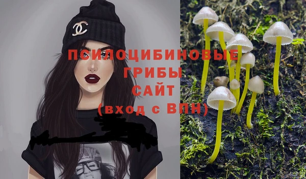 сатива Абаза