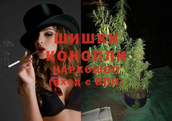 сатива Абаза
