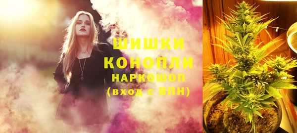 сатива Абаза