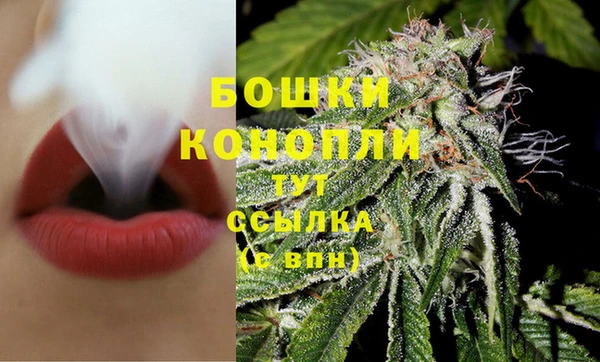 сатива Абаза